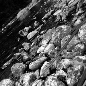 Meet your Posher, Rhyan